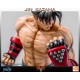 Tekken 3 Statue 1/4 Jin Kazama 48 cm